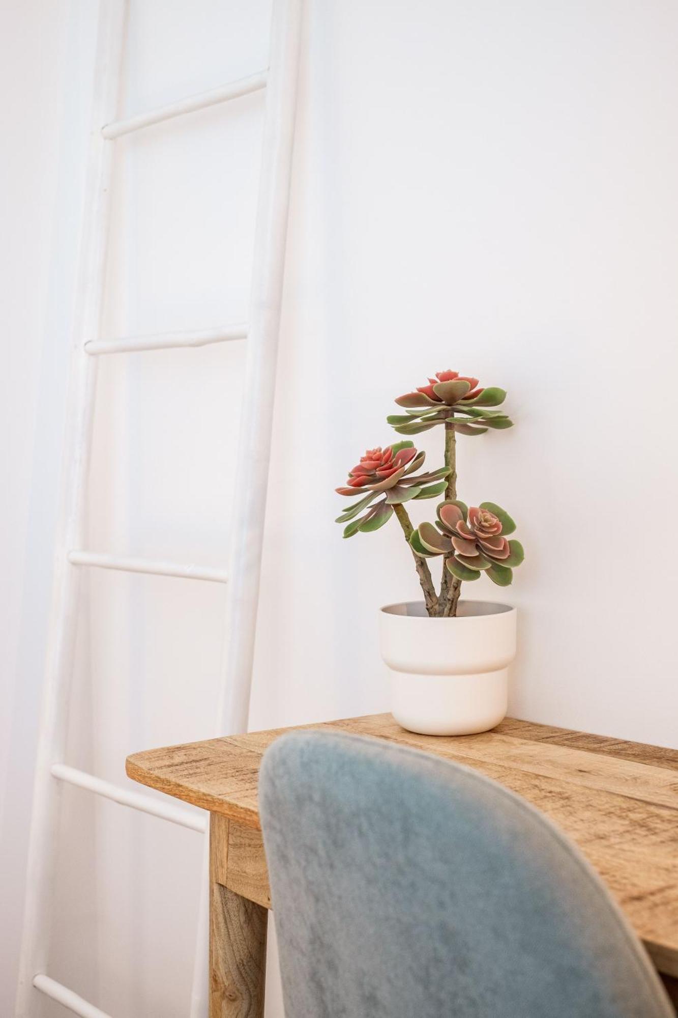 Casa Vica Apartment Sagres Phòng bức ảnh